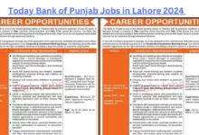 Toda Jobs in Lahore 2024